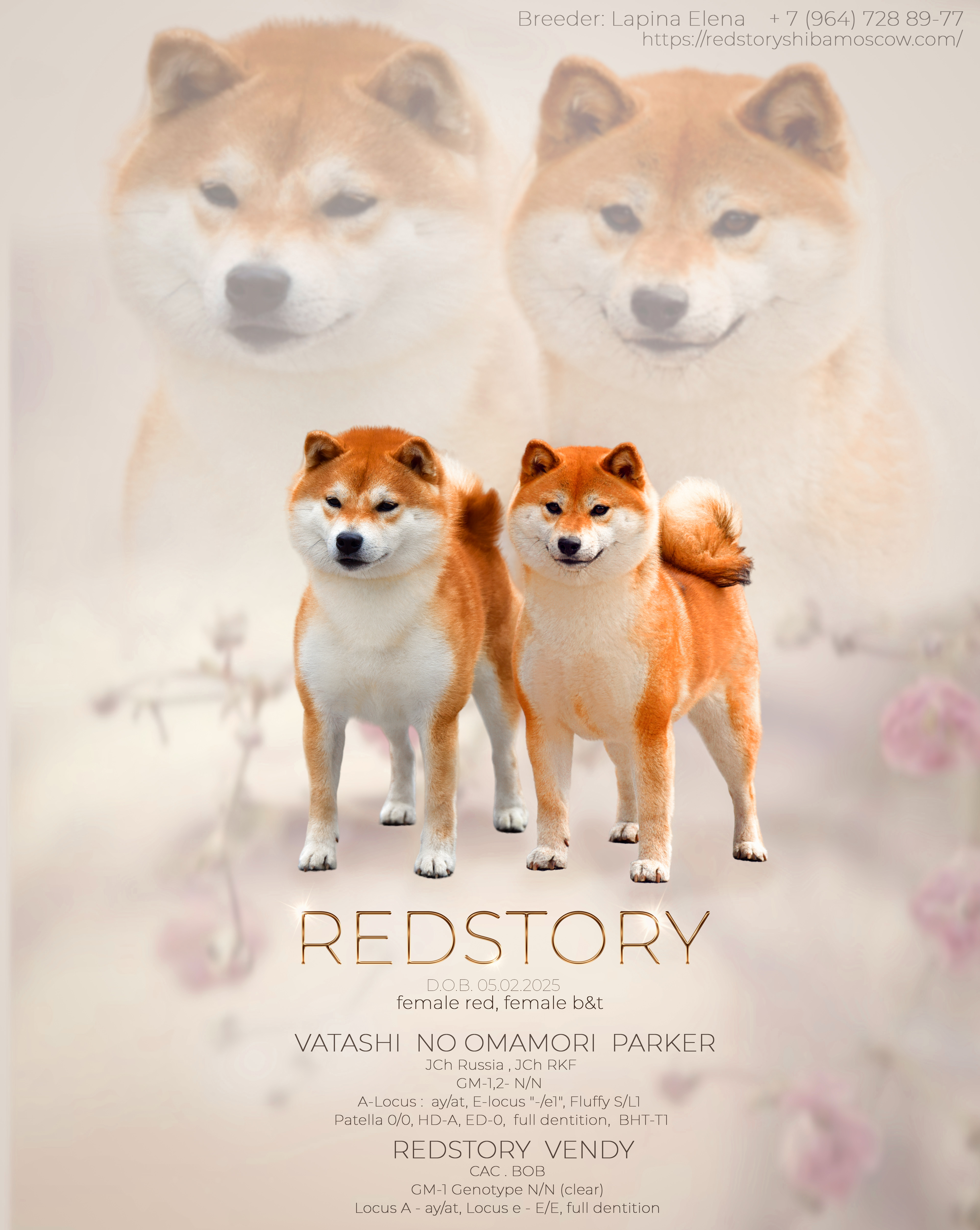 Image title